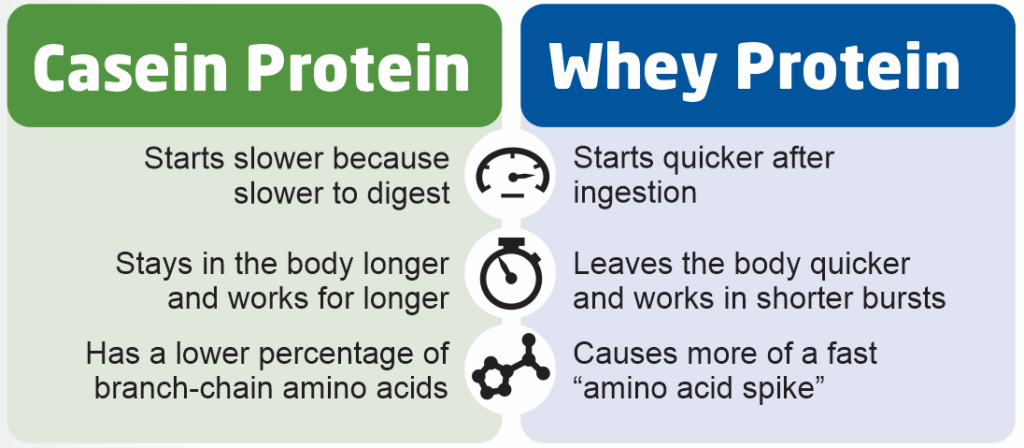 Whey Protein Concentrate - EnNutrica | Fresh Whey, Good Nutrition Profile